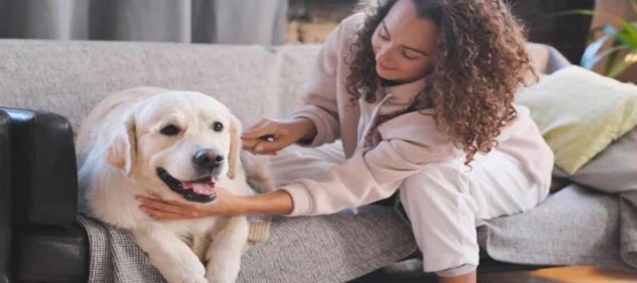 How to Survive the First Night with a New Puppy